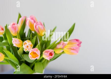 Beautiful spring bouquet of pink tulips close up, flowers in a home interior Stock Photo