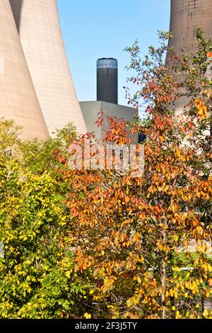 View of the main chimney stack between three cooling towers at Drax power station, North Yorkshire, with trees in foreground with autumnal foliage.  D Stock Photo