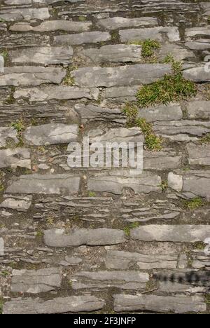 Ancient pavement, Burford, the Cotswolds, Oxfordshire, England Stock Photo