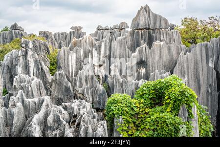 View of Shilin limestone rock formations with overcast weather in Shilin stone forest park in Yunnan China Stock Photo