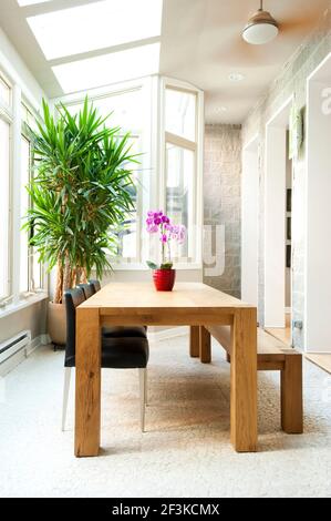 Tradition meets Modern - stepping in to a Brightly lit Dining Area with clean lines, large windows, sky ight and teak wood table.... multi textured fl Stock Photo