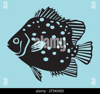 Spotted Scat Fish. Vector illustration. Stock Vector