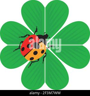 Ladybird on a clover Stock Vector
