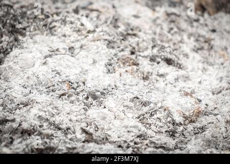 The abstract pile of ashes after the fire went out. Burning wood ash background and texture. Stock Photo