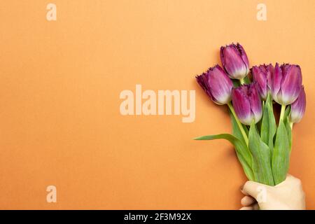 Hand holding purple tulip flowers on orange background. flat lay, top view, copy space Stock Photo
