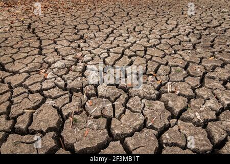 The ground is dried and cracks background. The soil dry land cracked ground surface. landscape, poor soil. Stock Photo