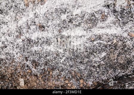 The abstract pile of ashes after the fire went out. Burning wood ash background and texture. Stock Photo