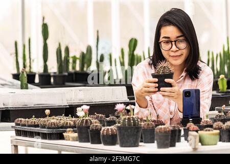 Authentic Asian women are live-streaming cactus sales. A beautiful Asian woman speaks and looks at her smartphone for selling products. Stock Photo