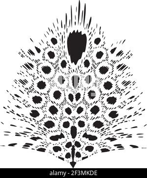 Vector illustration of  feathers Stock Vector