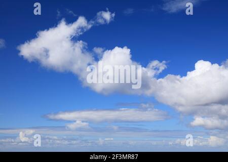 White clouds blue sky background. White cumulus clouds texture. Stock Photo