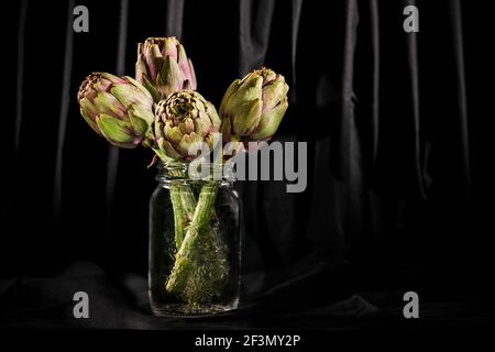 Artichokes like flowers on black background Stock Photo