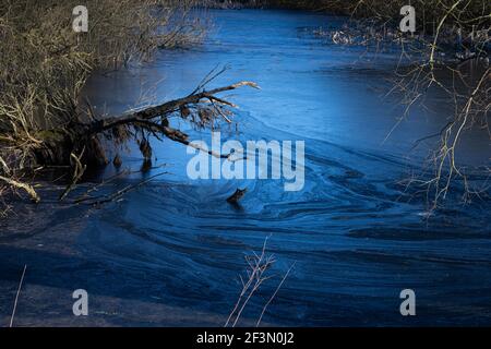 A beautiful picture of a small pond covered with ice. Blue icy water with trees in the background Stock Photo
