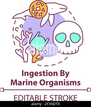 Ingestion by marine organisms concept icon Stock Vector