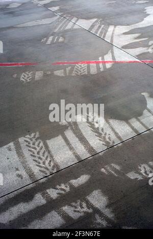 Runway  at Moscow International Airport, Russia 2013 Stock Photo