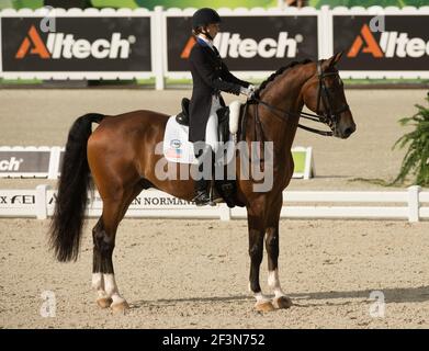 female Equestrian dressage rider performing the halt on bay horse in outdoor dressage competition ring  with Alltech sponsor signage in background Stock Photo