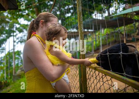 Adorable cute toddler girl with mother feeding goat on a kids farm. Beautiful baby child petting animals in the zoo. Excited and happy girl on family Stock Photo