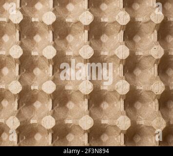 Protective cardboard packaging for storing eggs. Empty biodegradable molded egg box made of paper pulp. Stock Photo