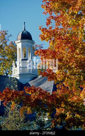 Town. Tower of Public library. Autumn fall foliage colour on trees. Orange, yellow. Stock Photo