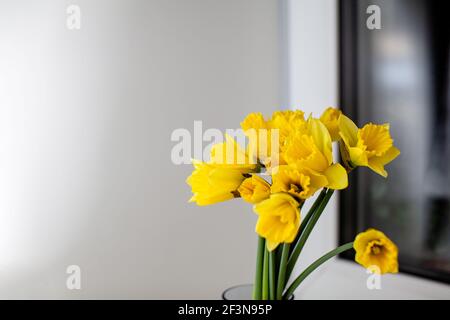 A yellow bouquet of daffodils in a glass vase on the windowsill in the room. A nice gift for your loved one Stock Photo