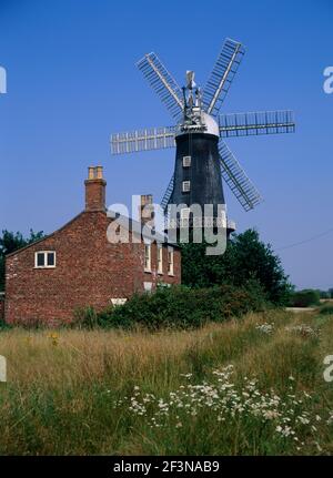 Sibsey Trader Windmill. Post mill. Round tower. Revolving. Large wooden sail. Struts. For harnessing wind power. Farming buildings. House.  Plants and Stock Photo