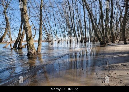 Rhein-Hochwasser in Köln-Rodenkirchen | Rhine flood in Cologne-Rodenkirchen Stock Photo