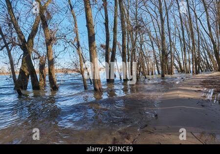 Rhein-Hochwasser in Köln-Rodenkirchen | Rhine flood in Cologne-Rodenkirchen Stock Photo