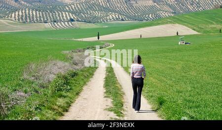 Young short hair brunette woman seen from behind walking on a path in the green field Stock Photo