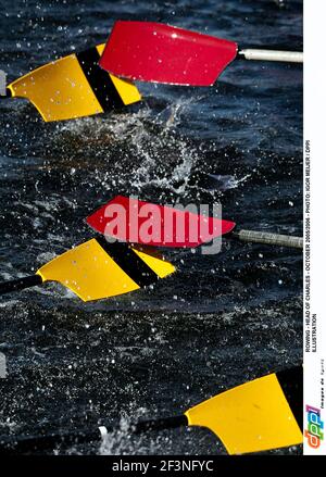 ROWING - HEAD OF CHARLES - OCTOBER 2005/2006 - PHOTO: IGOR MEIJER / DPPI ILLUSTRATION Stock Photo