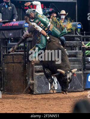 Keyshawn Whitehorse, professionall bull rider on his way to a winning ride during the Uleash the Beast tour Stock Photo