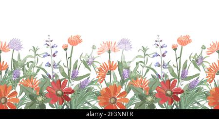 Vector floral seamless border. Summer flowers, herbs, leaves. Stock Vector