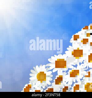 White daisy chamomile flowers Stock Vector