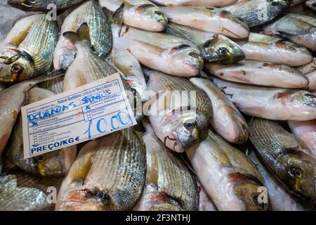 Varieties of fresh fish in market in Tavira, Algarve Portugal Stock Photo