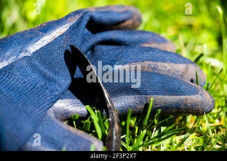 Macro closeup of protective gardening gloves with rubber grip and hand hoe weeder cultivator on green grass lawn in home garden Stock Photo