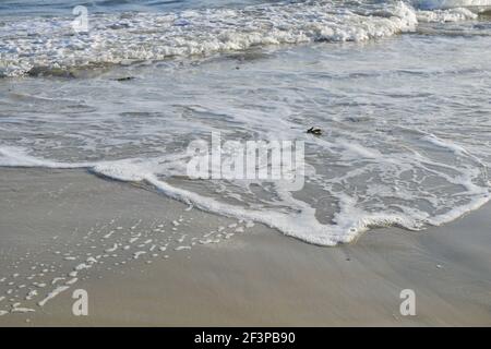 Soft ocean waves on a sandy beach Stock Photo
