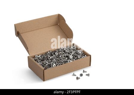 Metal screws in card-box on white background, with shadow Stock Photo
