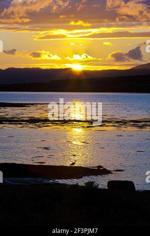 A sunset (with heron) across Loch na Cille to the Keillmore Peninsula viewed from Danna, Knapdale, Argyll & Bute, Scotland UK Stock Photo