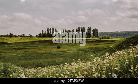 Moody morning river side landscape with a field of daisies and blue sky with fluffy clouds cinematic shot Stock Photo