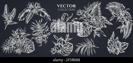Flower bouquet of chalk monstera, banana palm leaves, strelitzia, heliconia, tropical palm leaves, orchid Stock Vector