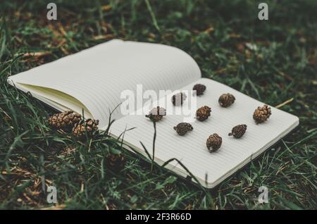 High angle side view of naturalist's notebook with a variety of small pine cones on white background lying on grass in forest Stock Photo