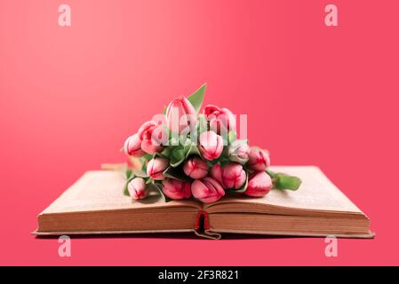 Beautiful bouquet of pink tulips in the old opened book against bold pink background. Spring seasonal backdrop to women or mothers day. Stock Photo