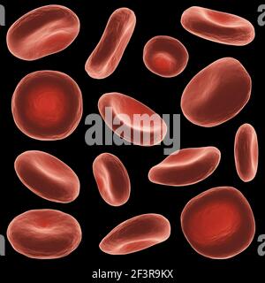 Red blood cells with high detailed surface . Set of different view and shape . Black isolated background . 3D rendering . Stock Photo