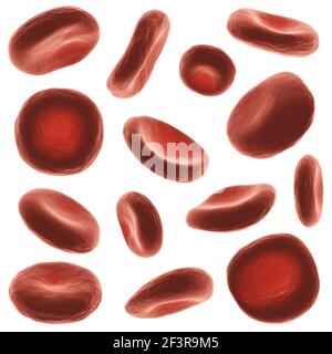 Red blood cells with high detailed surface . Set of different view and shape . White isolated background . 3D rendering . Stock Photo