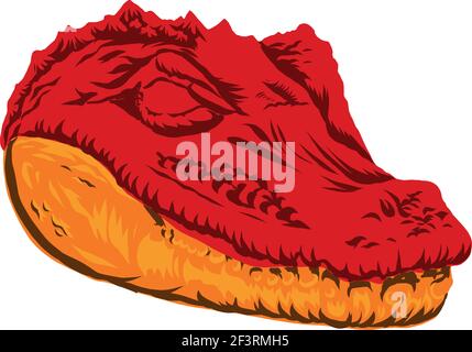 Vector illustration of crocodile head with hat Stock Vector