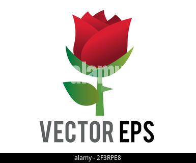 The isolated vector red rose flower icon with green stem and leaves Stock Vector