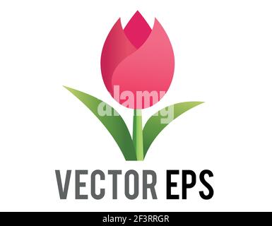 The isolated vector pink tulip flower icon with green stem and leaves Stock Vector