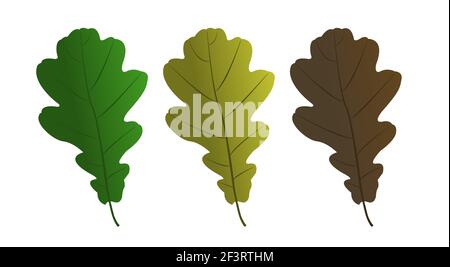 Set of vector maple leaves of different colors. Vector flat illustration. Stock Vector