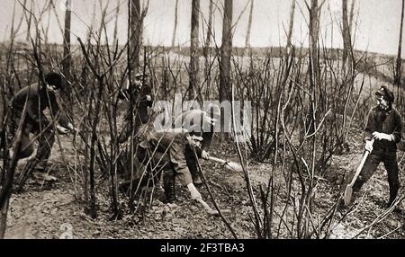 WWI  - Canadian soldiers on rat catching duty on the Western Front. Stock Photo