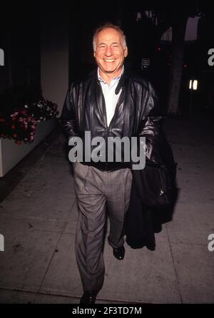 Mel Brooks 1991 Credit: Ralph Dominguez/MediaPunch Stock Photo - Alamy