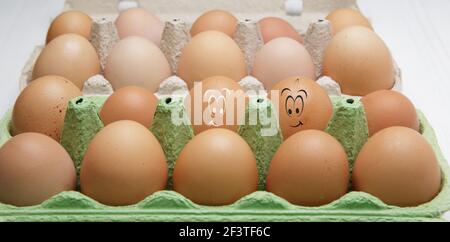 laughing rustic brown eggs lie in a cardboard box with other eggs Stock Photo