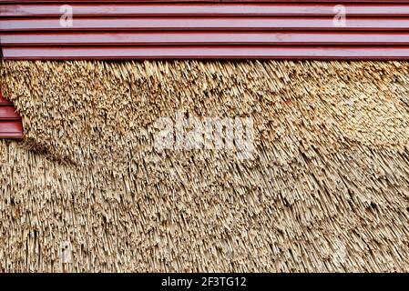The texture of the old thatched roof, the concept of using ecological natural materials in the construction of housing. Stock Photo
